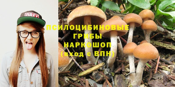 каннабис Алзамай