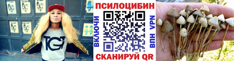 цена наркотик Апшеронск Псилоцибиновые грибы MAGIC MUSHROOMS